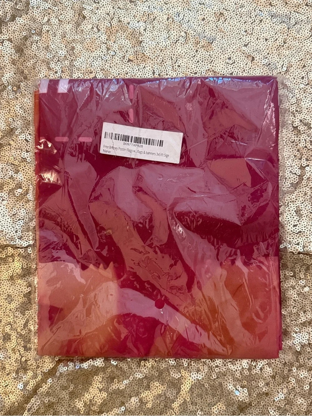 Free Britney Poster Flags with Brass Grommets 3x5 ft